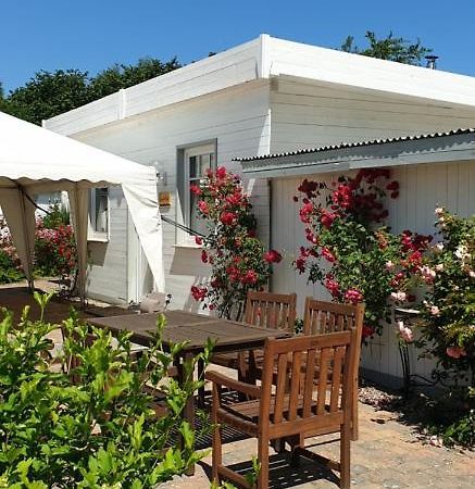 בולטנהאגן Ferienbungalow Haus Am Teich מראה חיצוני תמונה