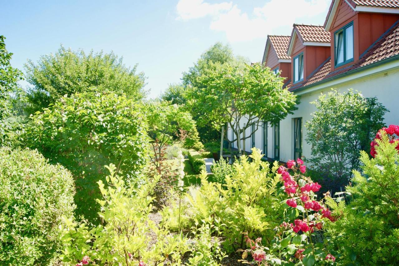 בולטנהאגן Ferienbungalow Haus Am Teich מראה חיצוני תמונה