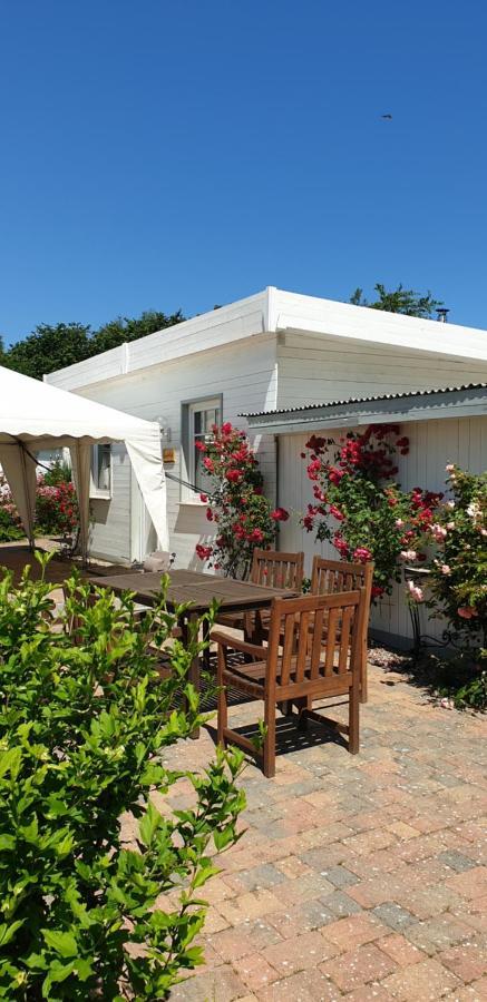 בולטנהאגן Ferienbungalow Haus Am Teich מראה חיצוני תמונה