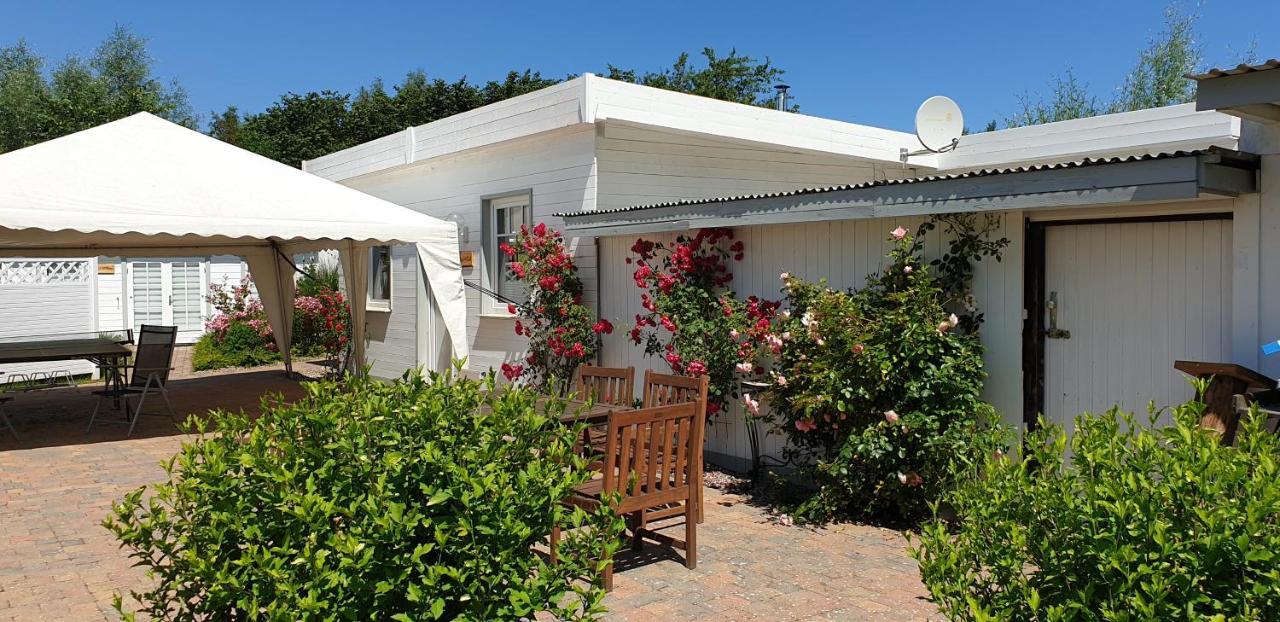 בולטנהאגן Ferienbungalow Haus Am Teich מראה חיצוני תמונה